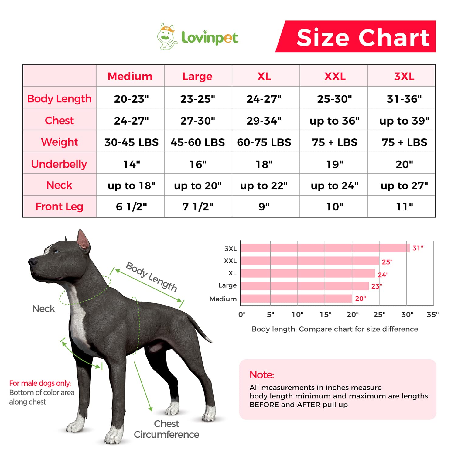 LovinPet Large Dog Post Recovery Suit - Vibrant Zigzag Collection (Red, Green, Yellow, Blue)