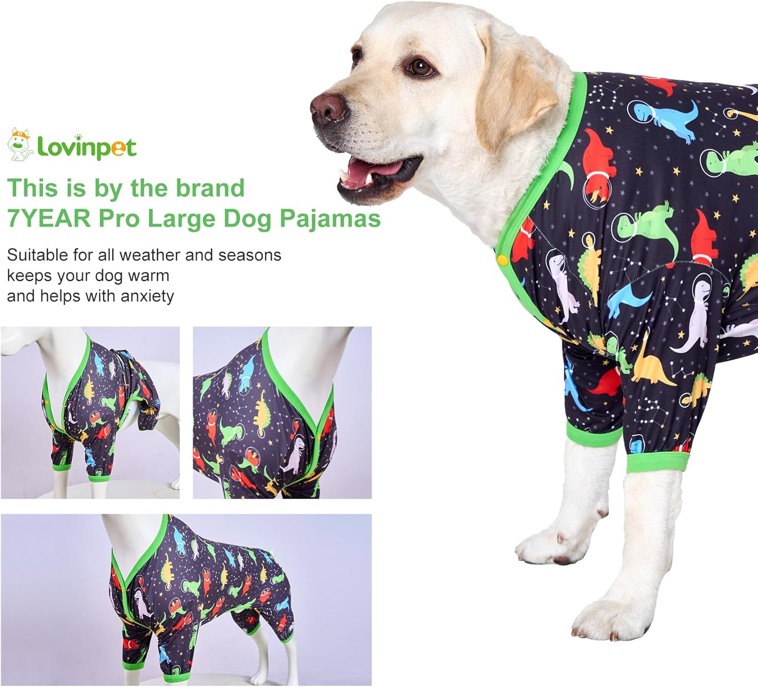 Space Dinosaurs Dog Onesie