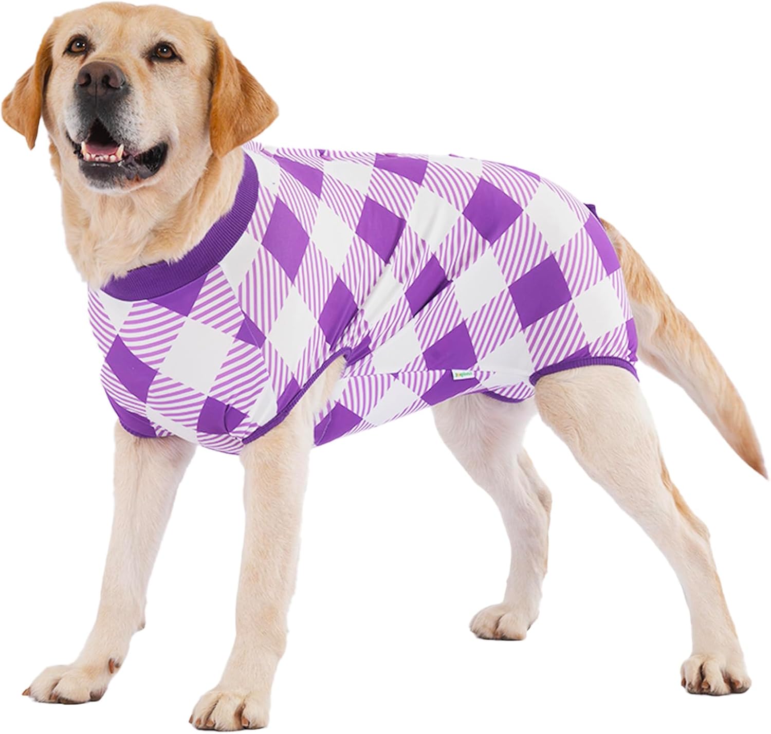 Green Plaid Dog Bodysuit