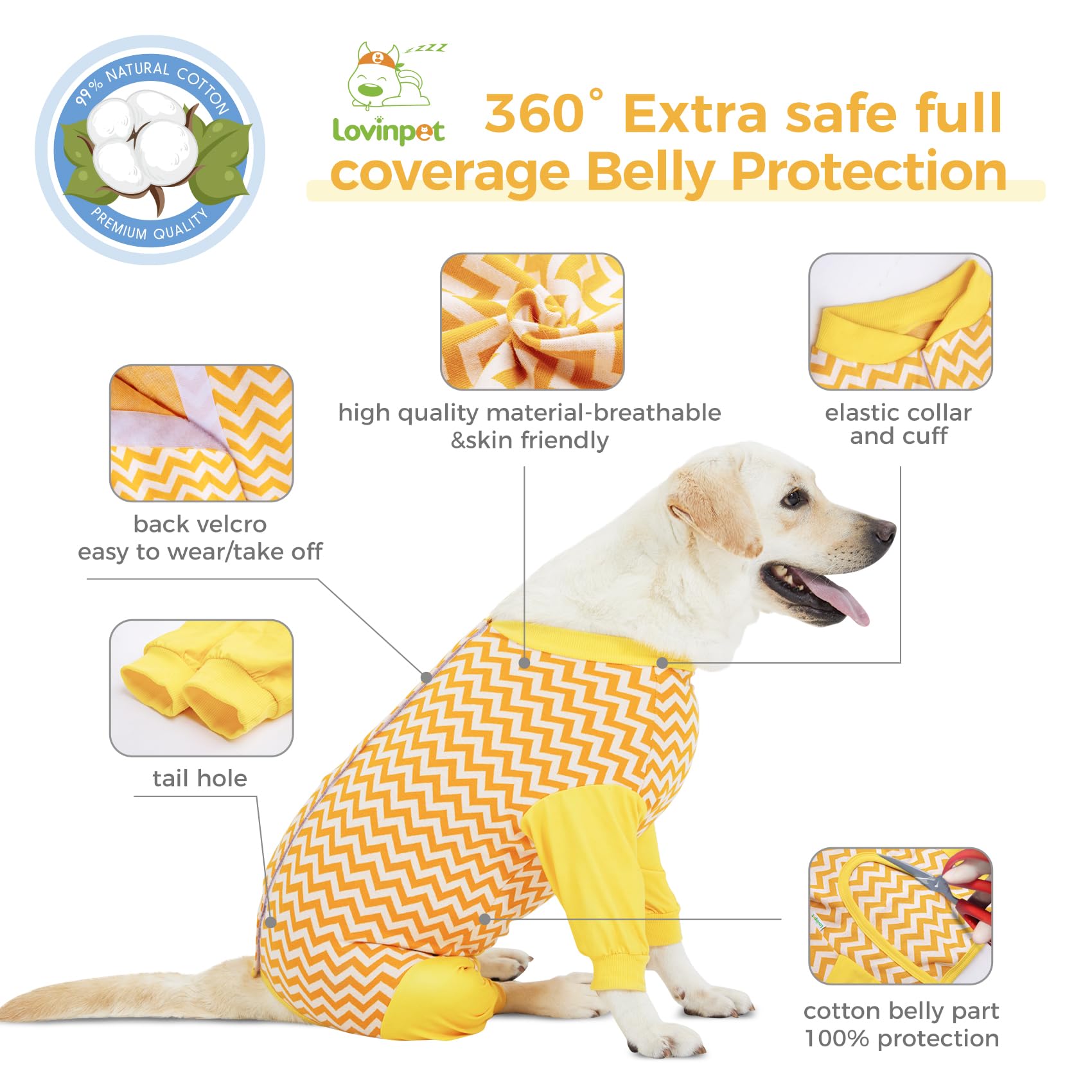 LovinPet Large Dog Post Recovery Suit - Vibrant Zigzag Collection (Red, Green, Yellow, Blue)
