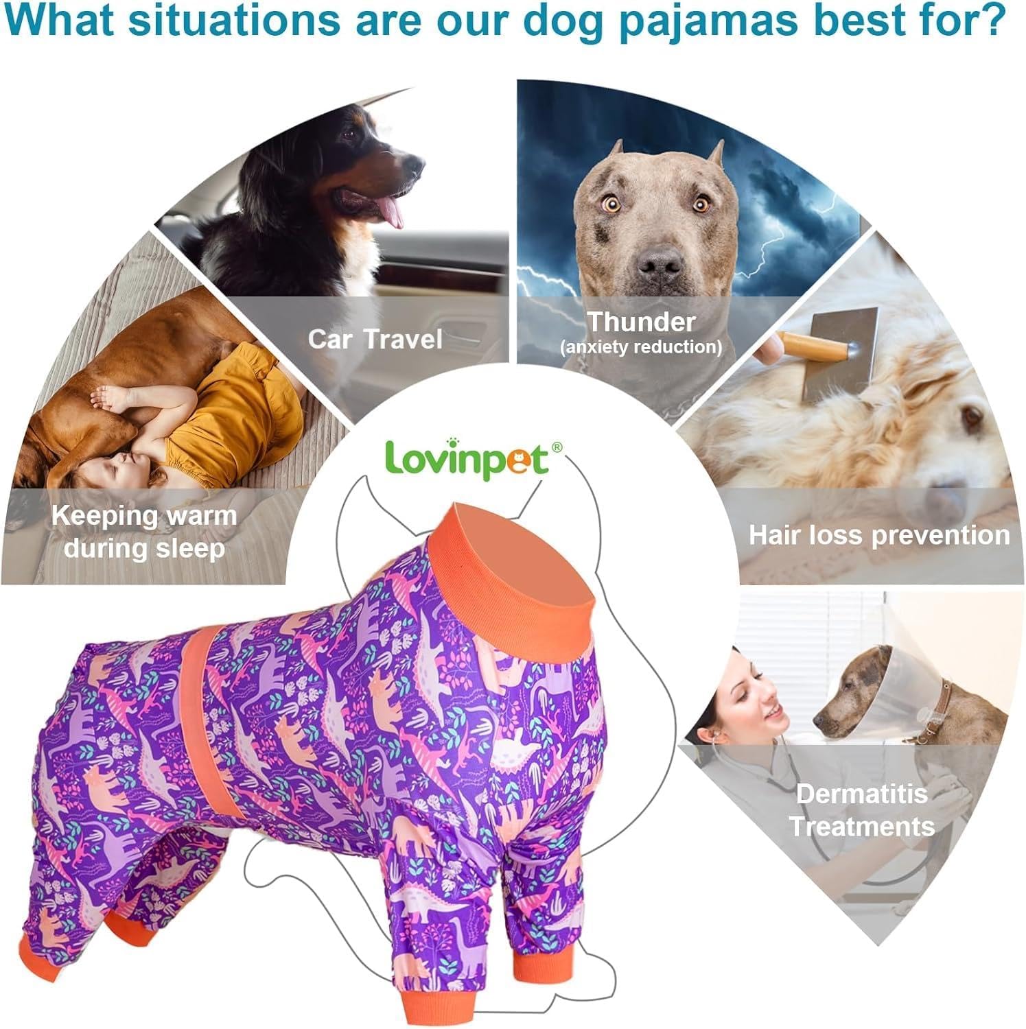 Purple Dinosaur Dog PJs