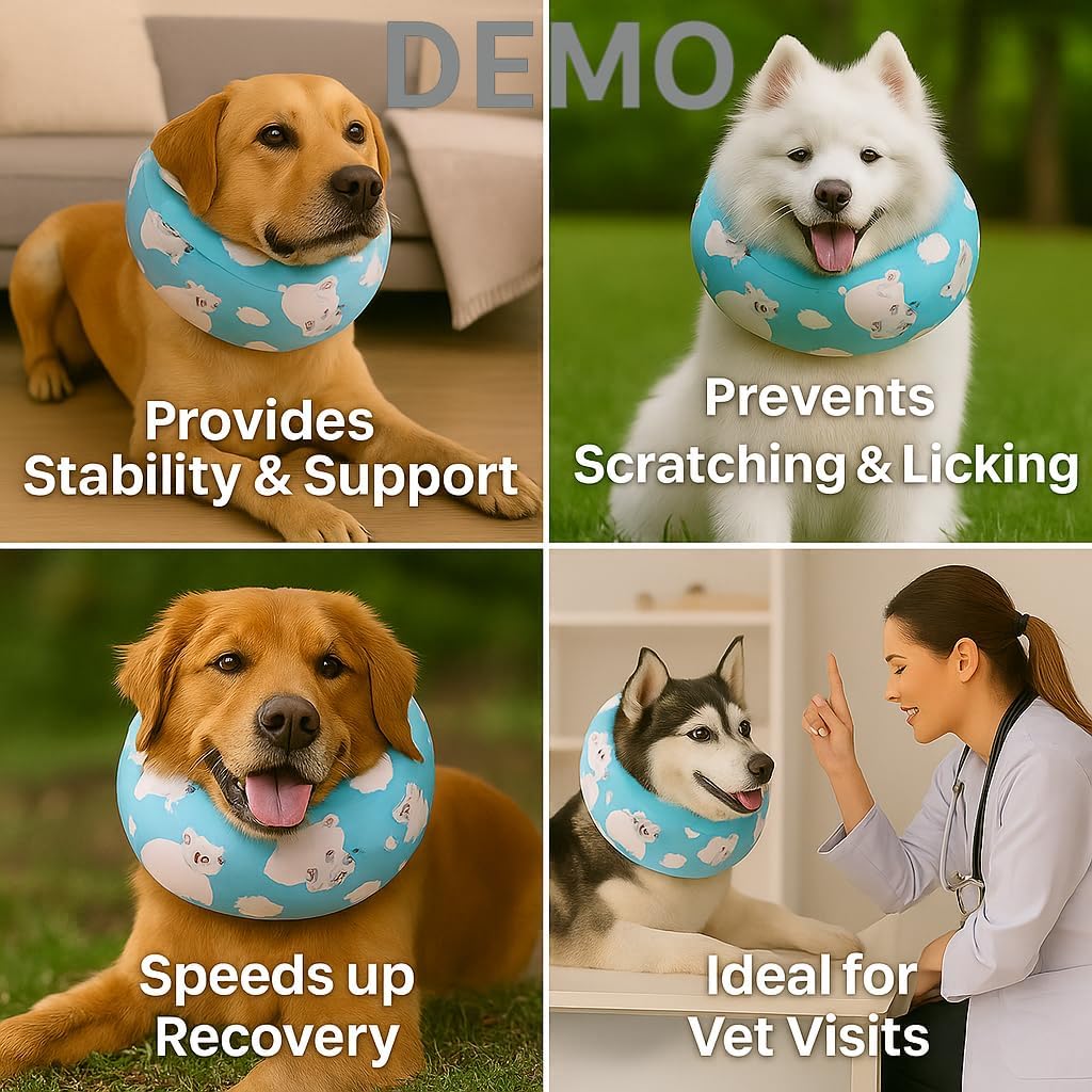 Blue Ducks with Hats Print Dog Recovery Collar