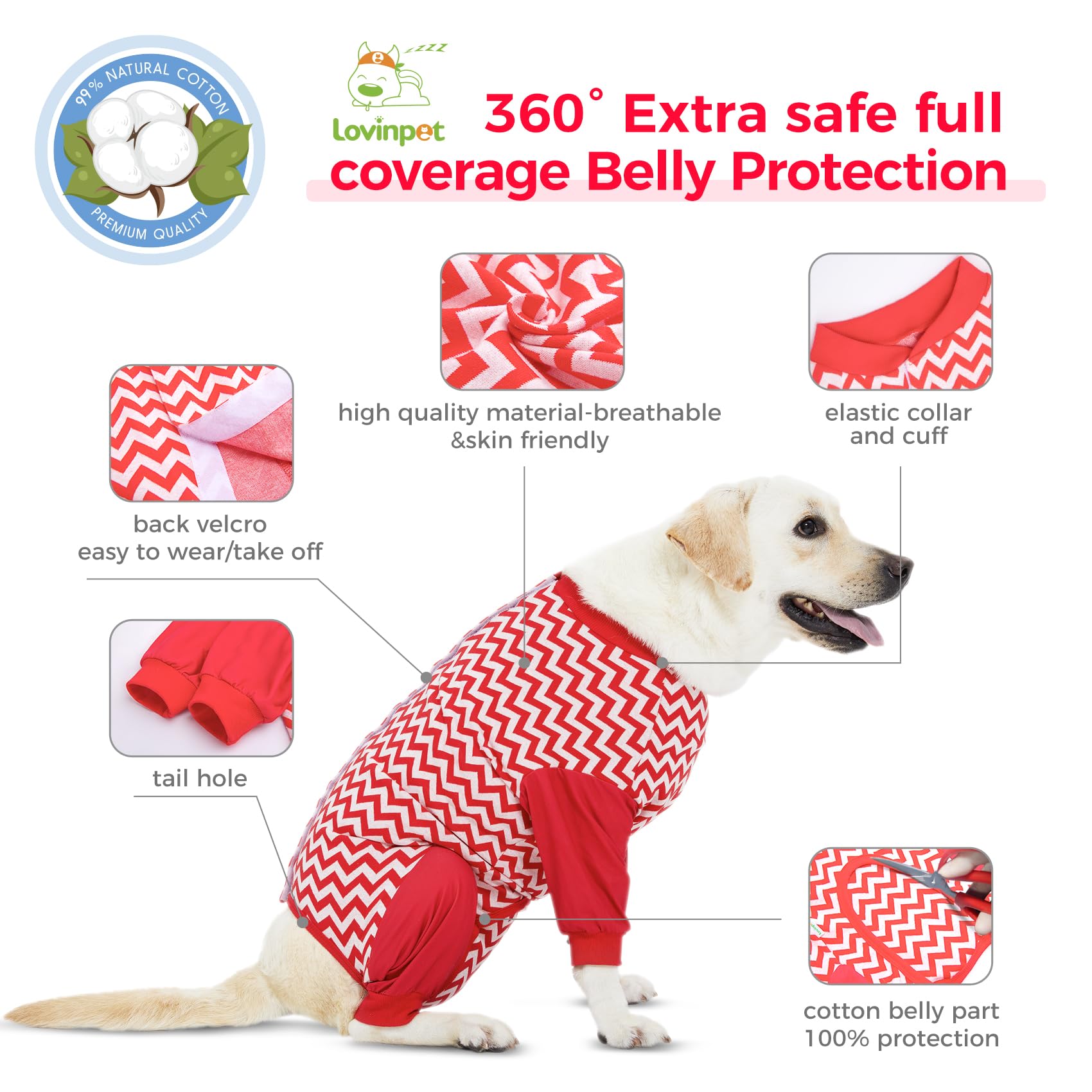LovinPet Large Dog Post Recovery Suit - Vibrant Zigzag Collection (Red, Green, Yellow, Blue)