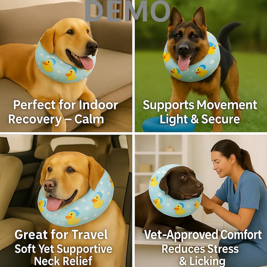 Blue Ducks with Hats Print Dog Recovery Collar