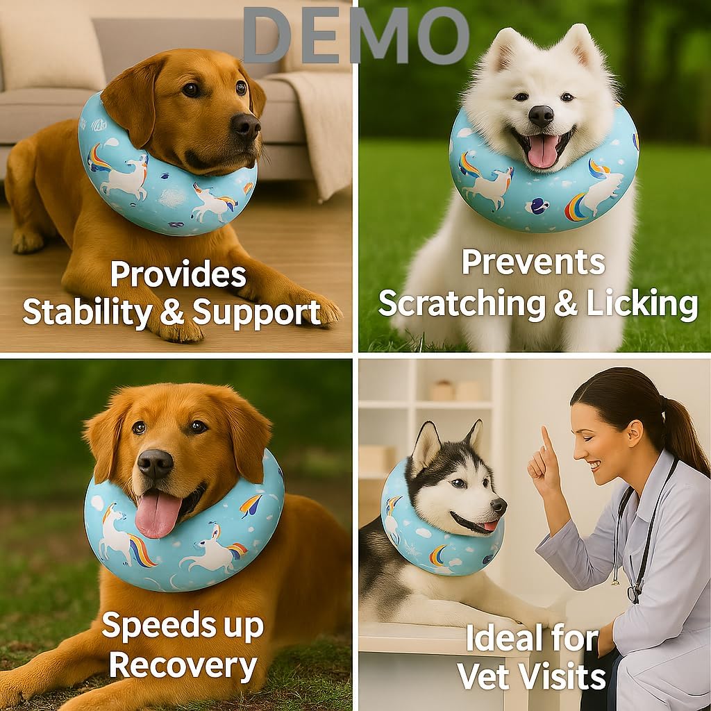 Blue Ducks with Hats Print Dog Recovery Collar