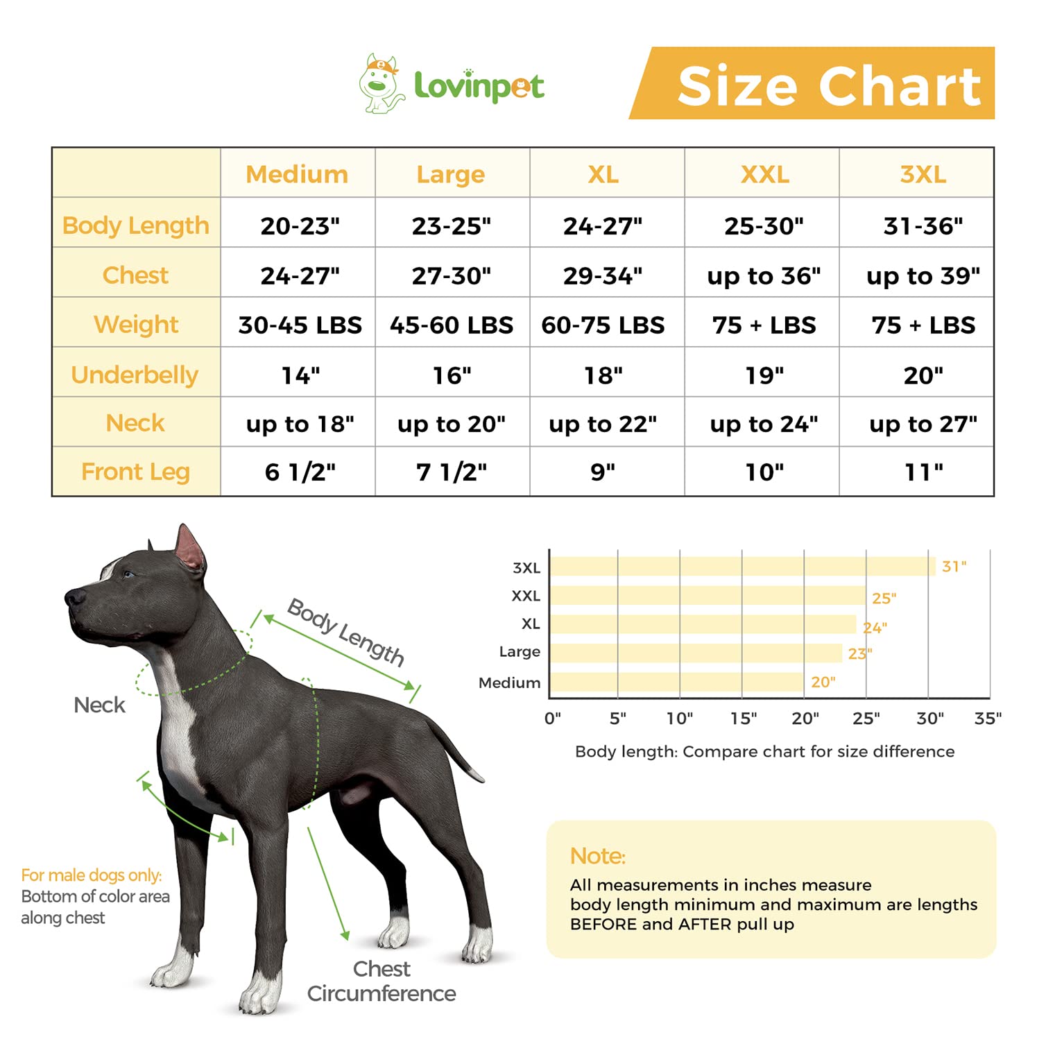 LovinPet Large Dog Post Recovery Suit - Vibrant Zigzag Collection (Red, Green, Yellow, Blue)
