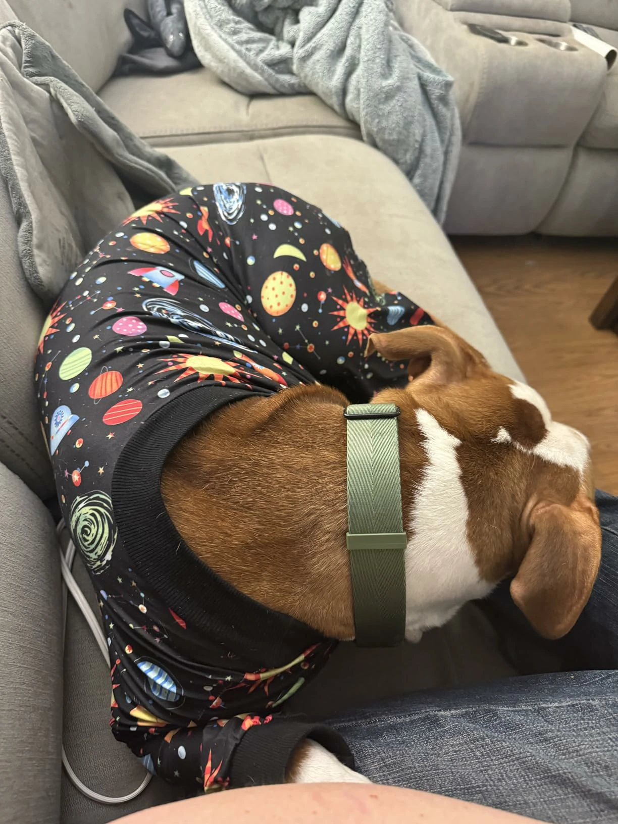 A brown and white dog curled up on a gray couch, wearing black space-themed pajamas with colorful planets, stars, and rockets.