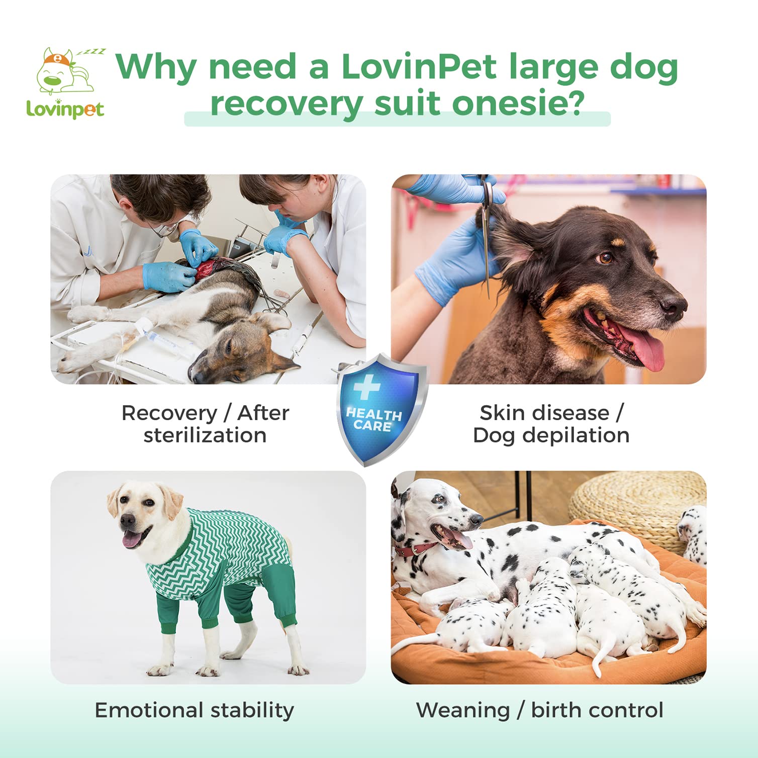 LovinPet Large Dog Post Recovery Suit - Vibrant Zigzag Collection (Red, Green, Yellow, Blue)