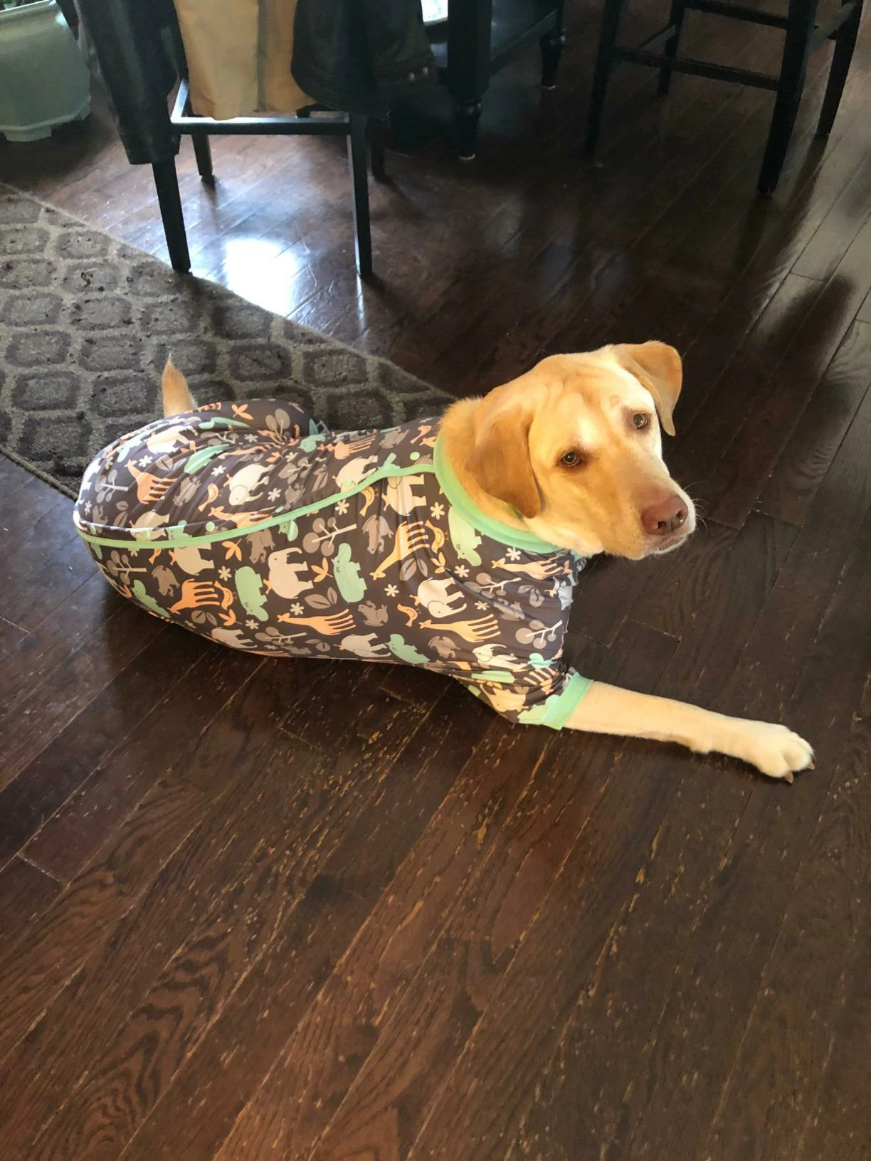 Golden Labrador lying on the floor wearing brown and mint green dog pajamas with playful animal prints.