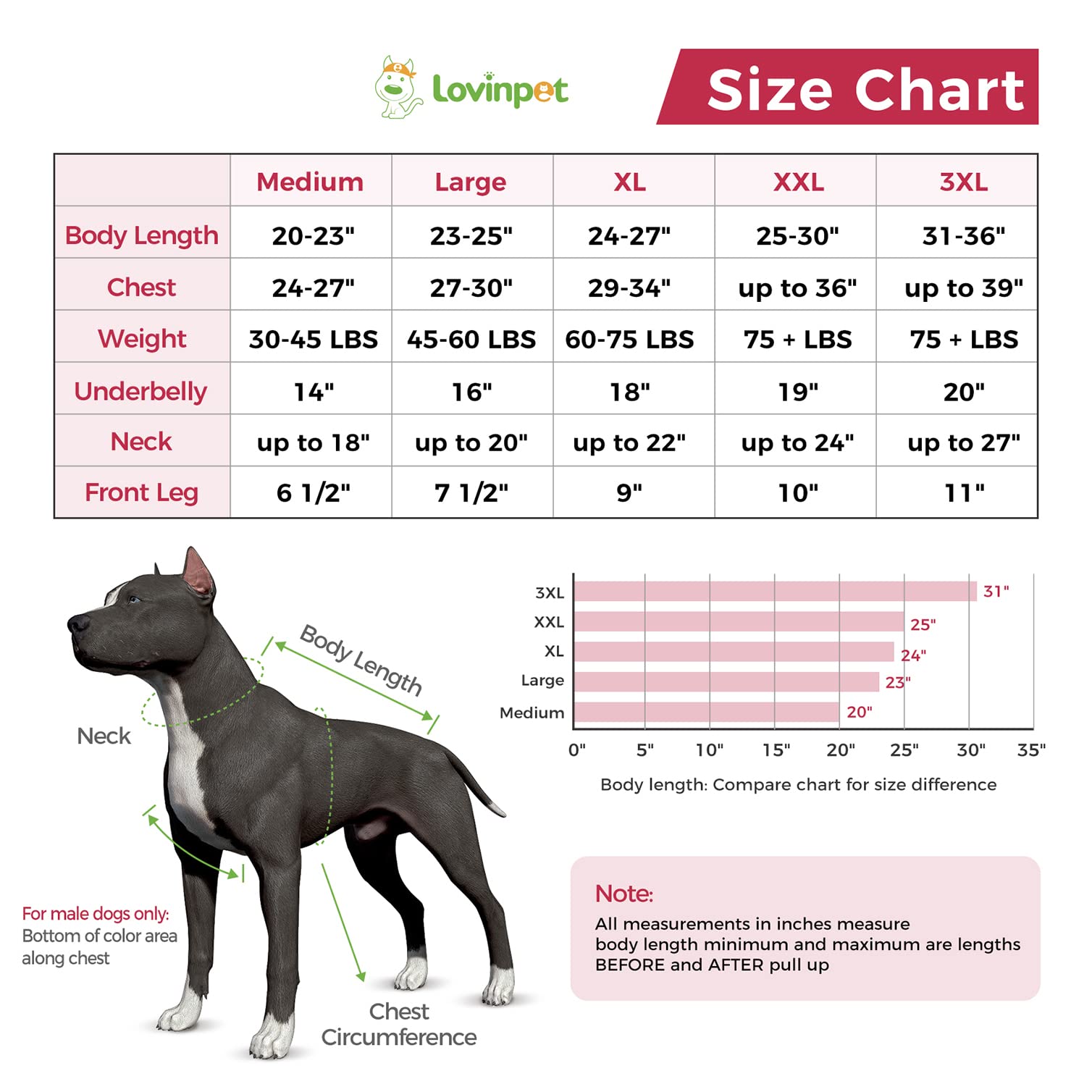 LovinPet Large Dog Post Recovery Suit - Nautical Stripes, Candy Stripes, Sporty Stripes Design