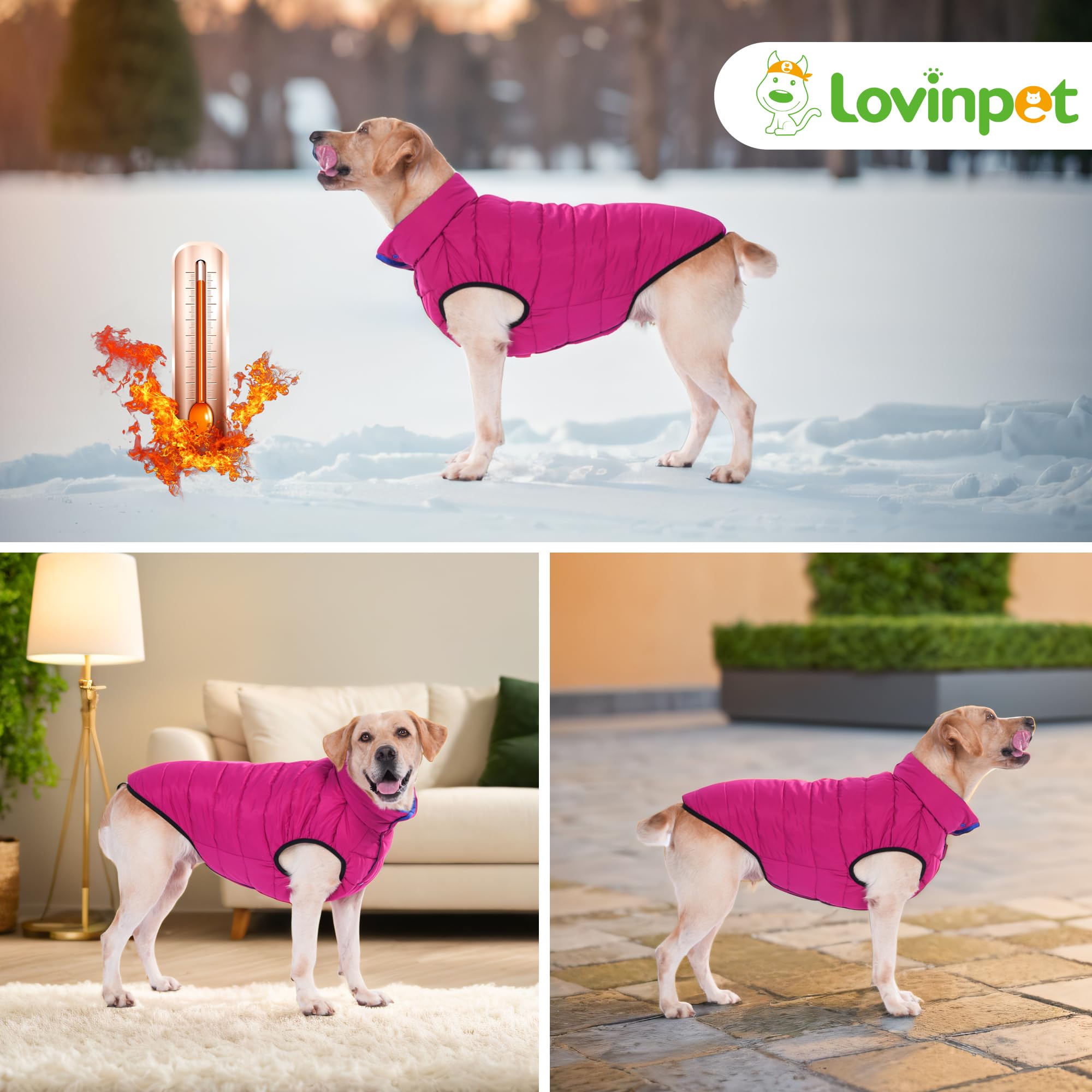 LovinPet Reversible Medium &amp; Large Dog Down Winter Coat - Snap Button Down Jacket, Dual-Sided Blue &amp; Red Design for Cold Weather,XL