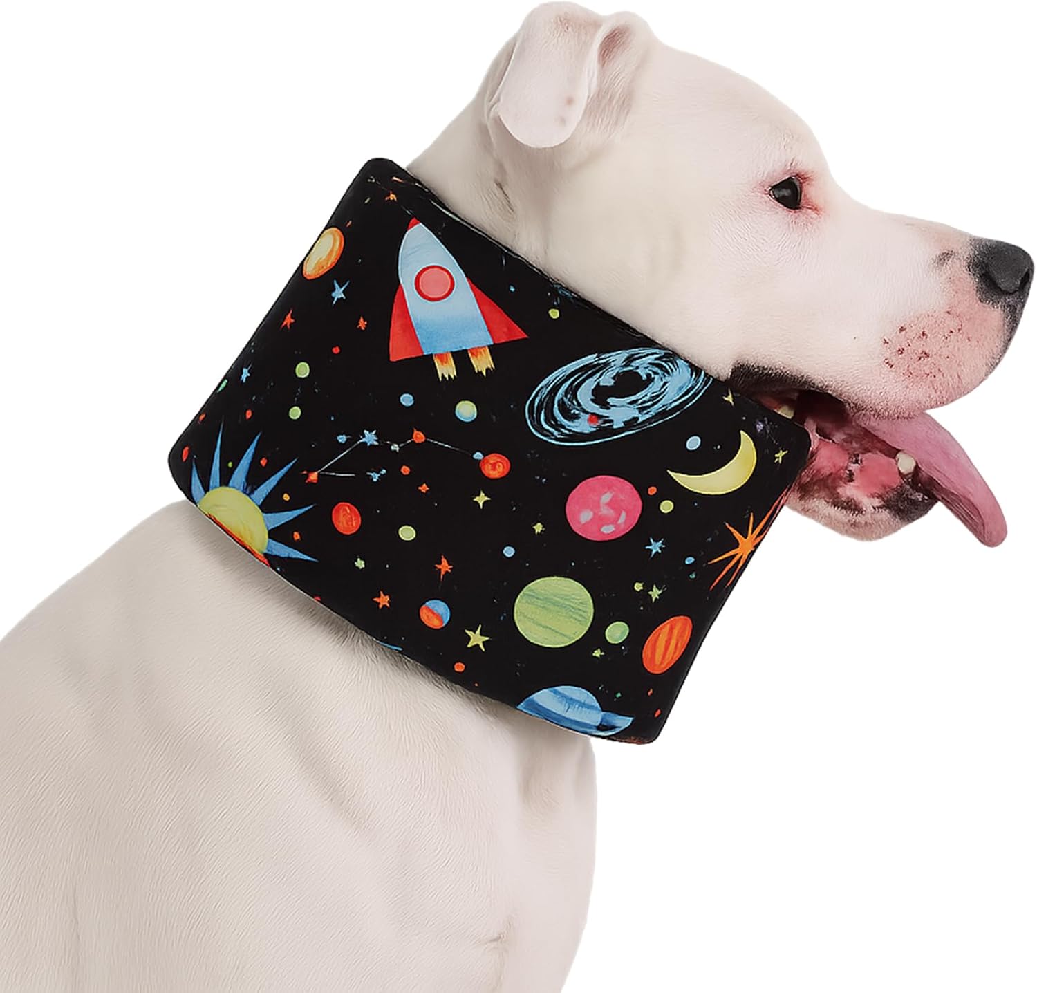 Blue Ducks with Hats Print Dog Recovery Collar