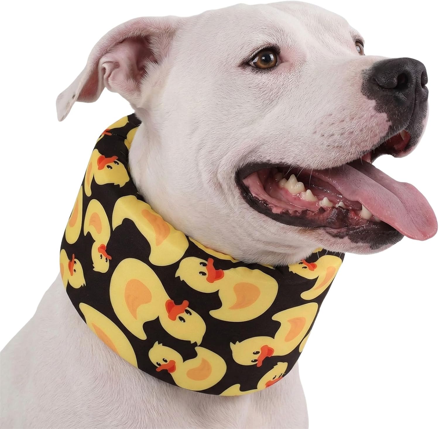 Blue Ducks with Hats Print Dog Recovery Collar