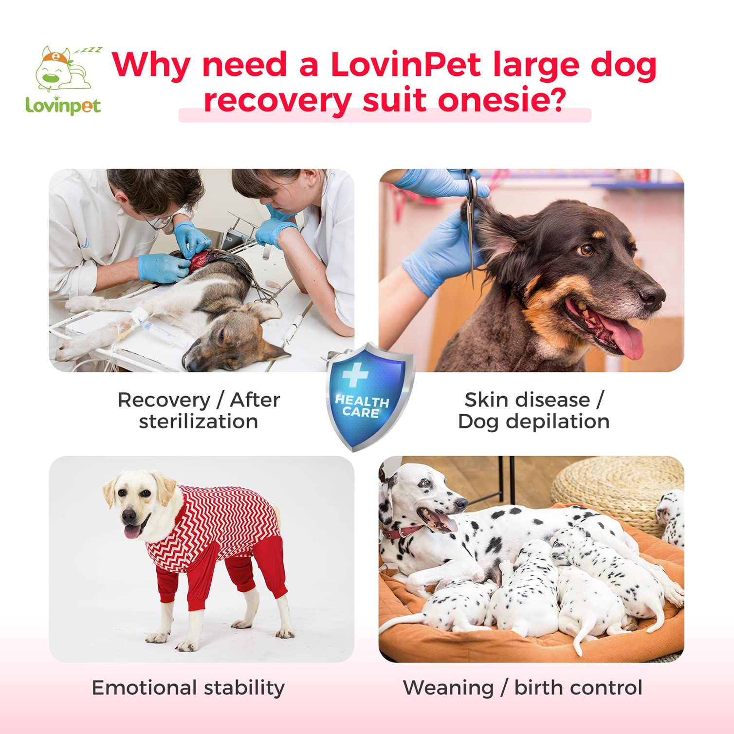 LovinPet Large Dog Post Recovery Suit - Vibrant Zigzag Collection (Red, Green, Yellow, Blue)