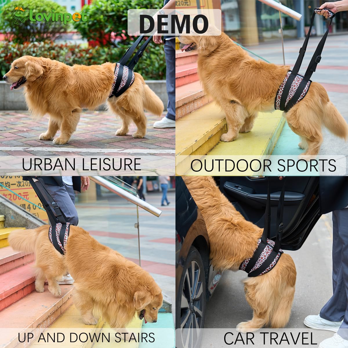 LovinPet Adjustable Dog Lift Harness for Weak Rear Legs|Portable and Comfortable Support Sling|Ideal for Senior,Injured,Disabled Dogs,and Post-ACL Surgery Recovery,Yellow