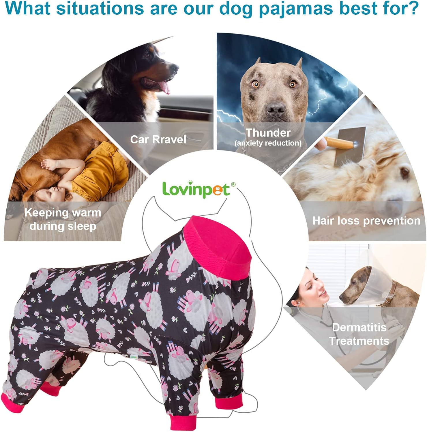Black Sheep Print Dog PJs
