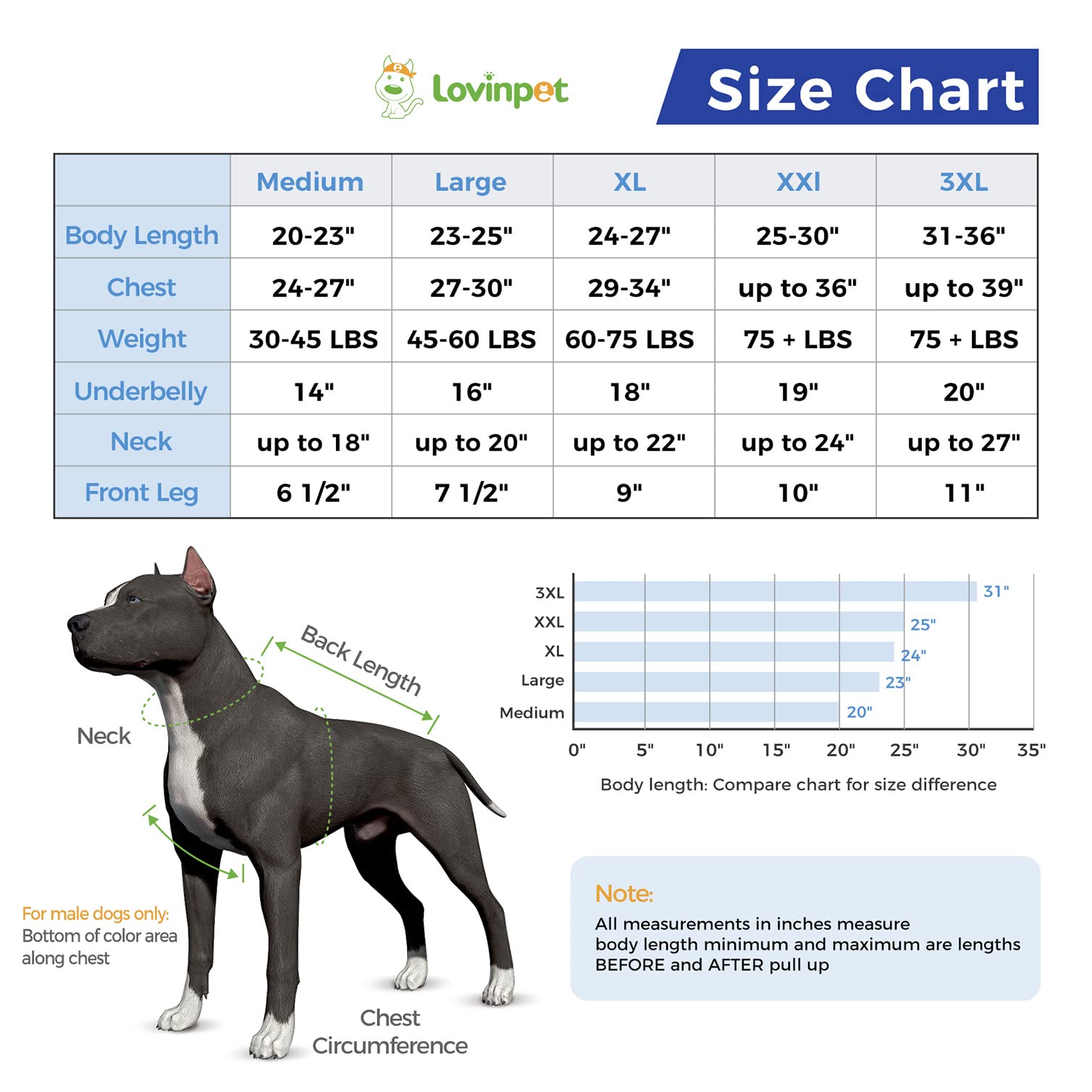 LovinPet Large Dog Post Recovery Suit - Nautical Stripes, Candy Stripes, Sporty Stripes Design