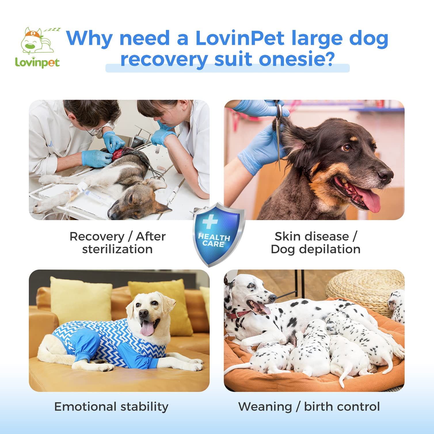 LovinPet Large Dog Post Recovery Suit - Vibrant Zigzag Collection (Red, Green, Yellow, Blue)