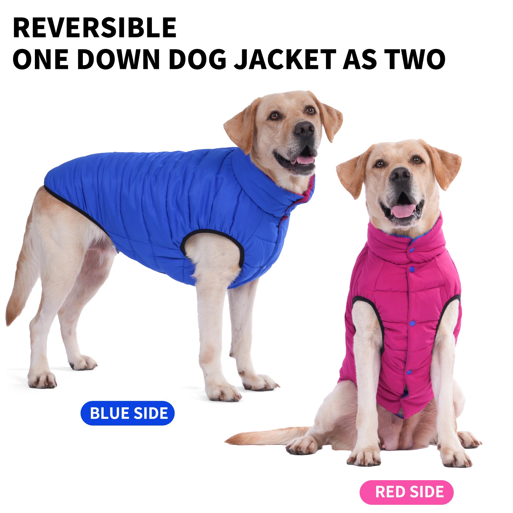 LovinPet Reversible Medium &amp; Large Dog Down Winter Coat - Snap Button Down Jacket, Dual-Sided Blue &amp; Red Design for Cold Weather,XL