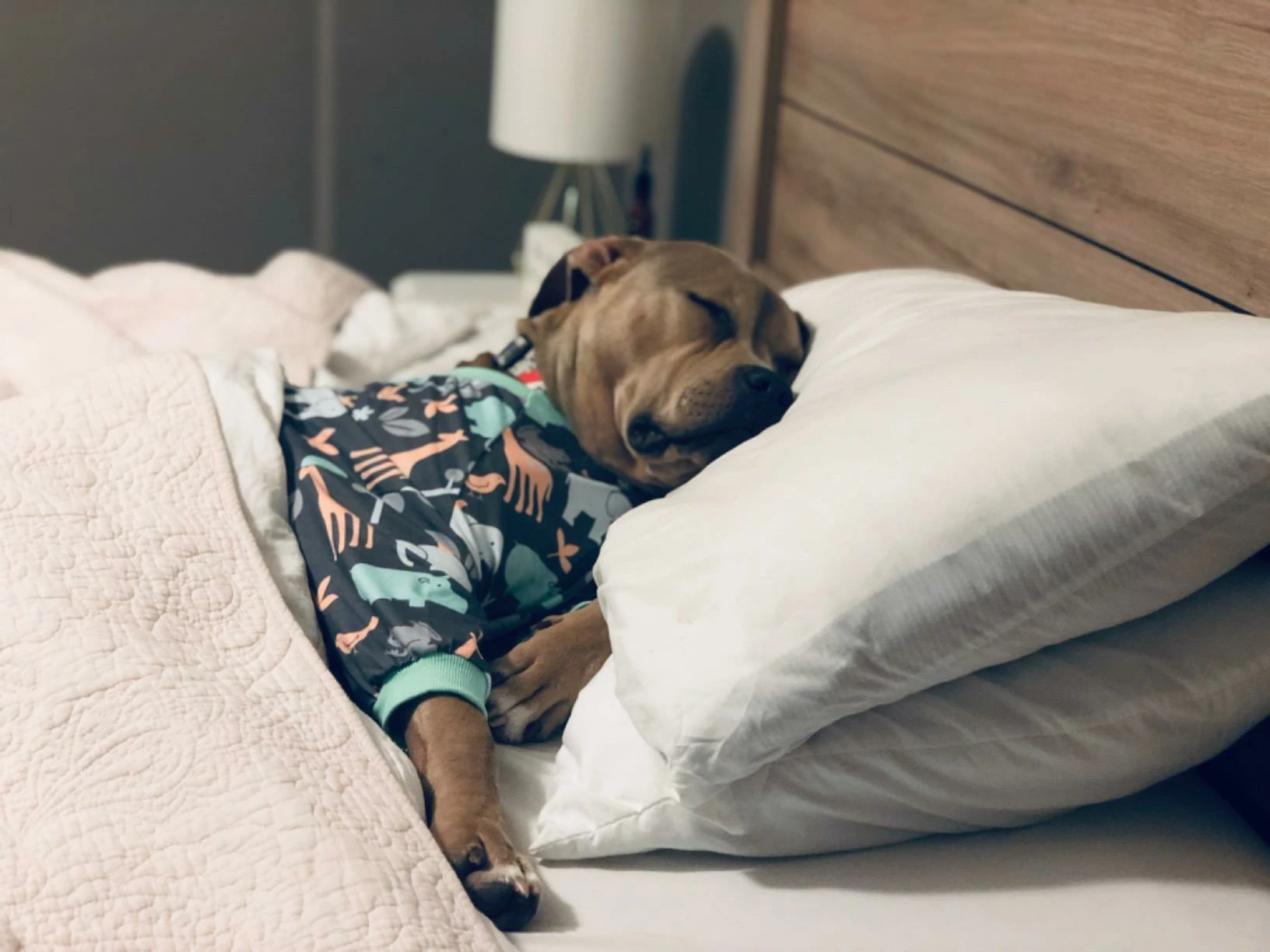 Light brown dog comfortably sleeping on a pillow in bed, dressed in grey pajamas with pastel animal patterns.