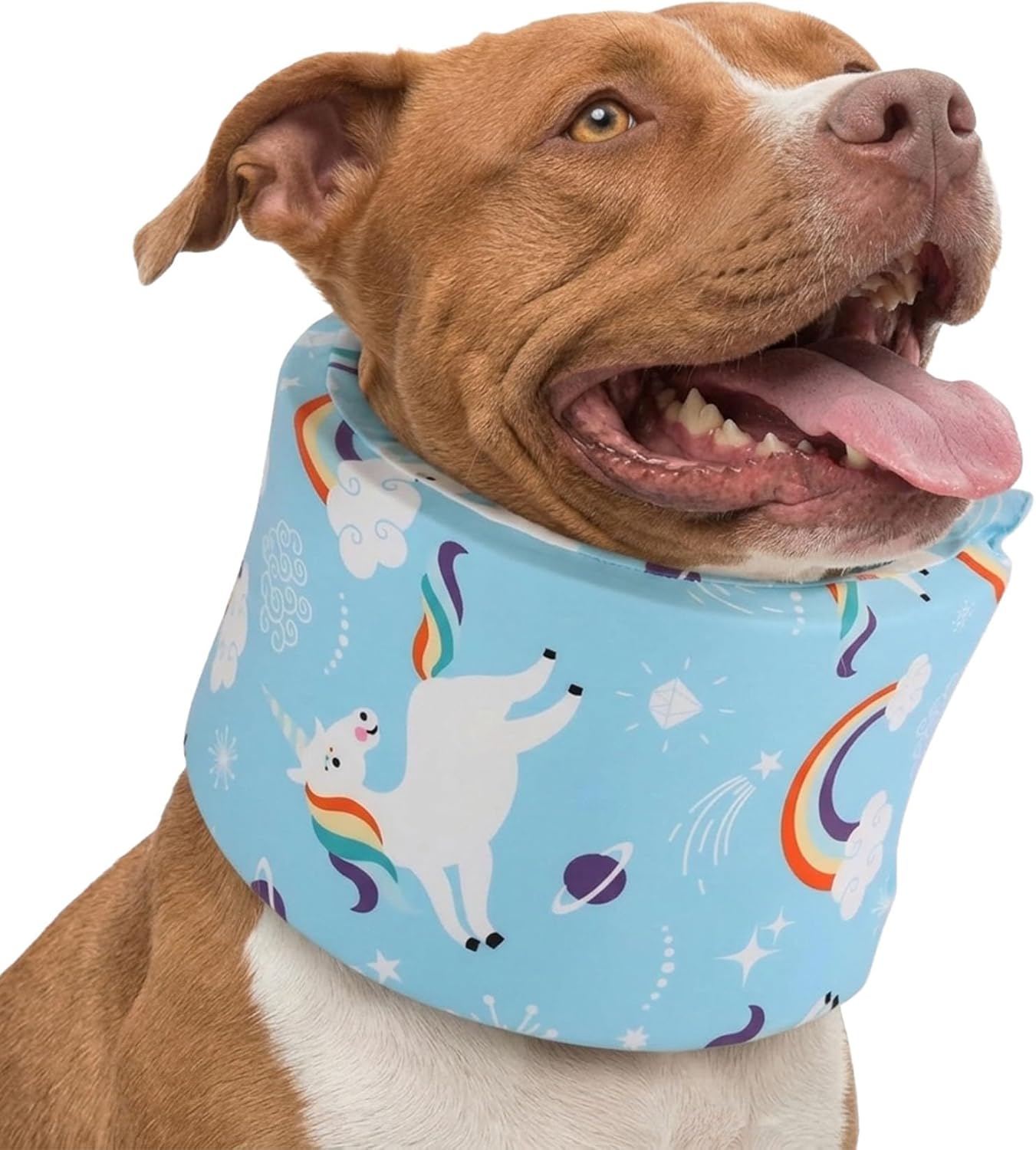 Blue Ducks with Hats Print Dog Recovery Collar