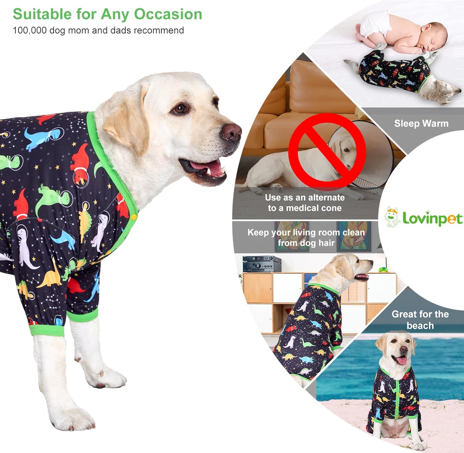 Space Dinosaurs Dog Onesie