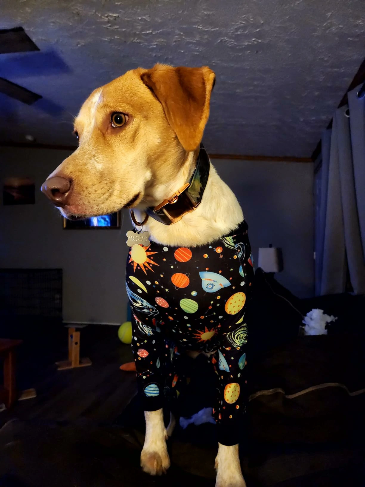 Yellow dog wearing space-themed pajamas featuring planets and stars, standing in a dark room, with vibrant colors and a snug fit.