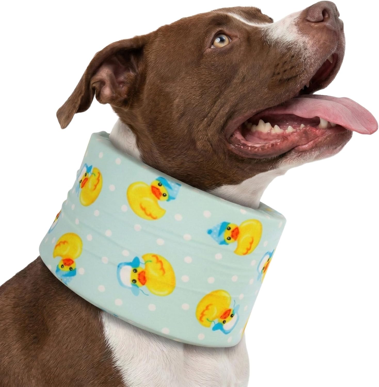 Blue Ducks with Hats Print Dog Recovery Collar