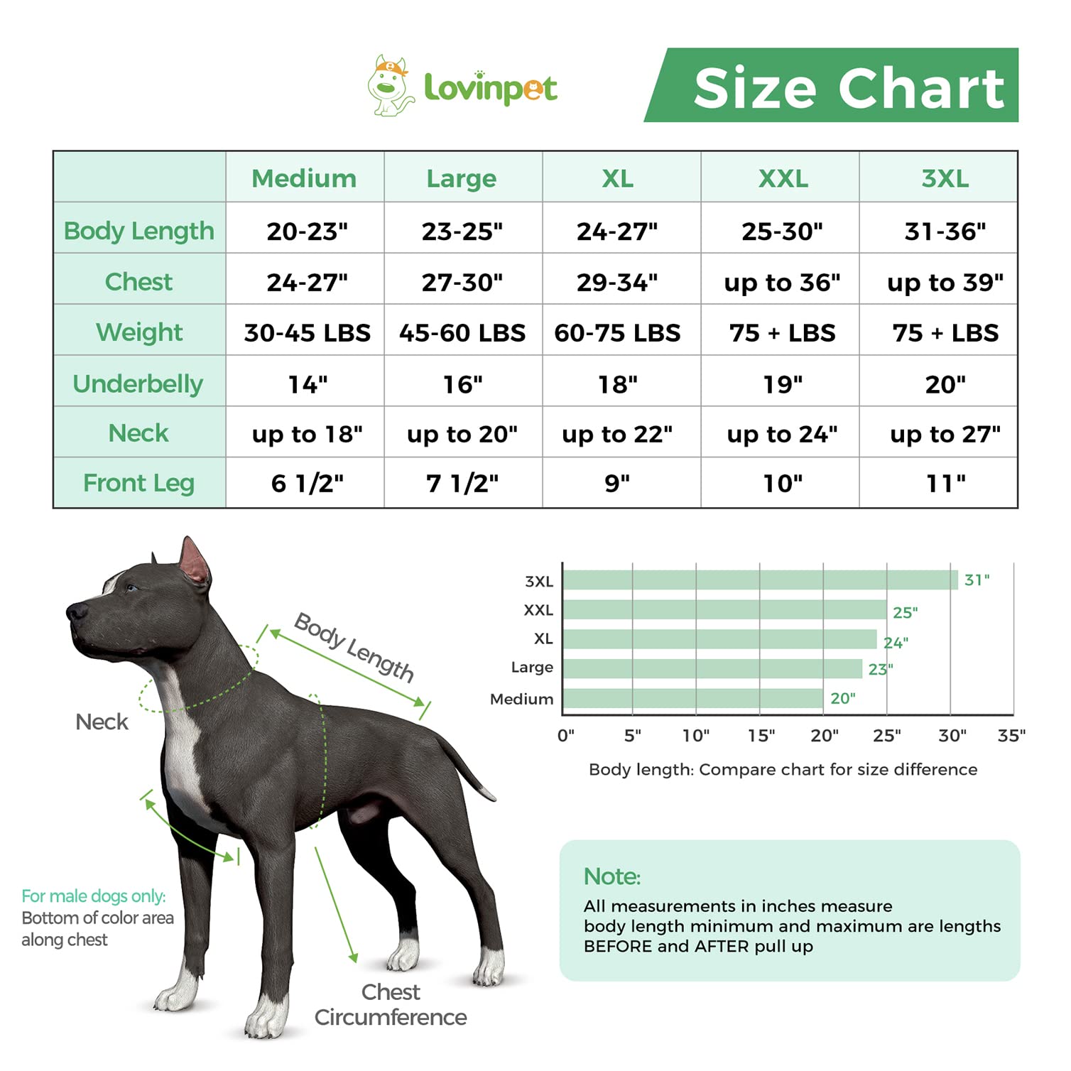 LovinPet Large Dog Post Recovery Suit - Vibrant Zigzag Collection (Red, Green, Yellow, Blue)