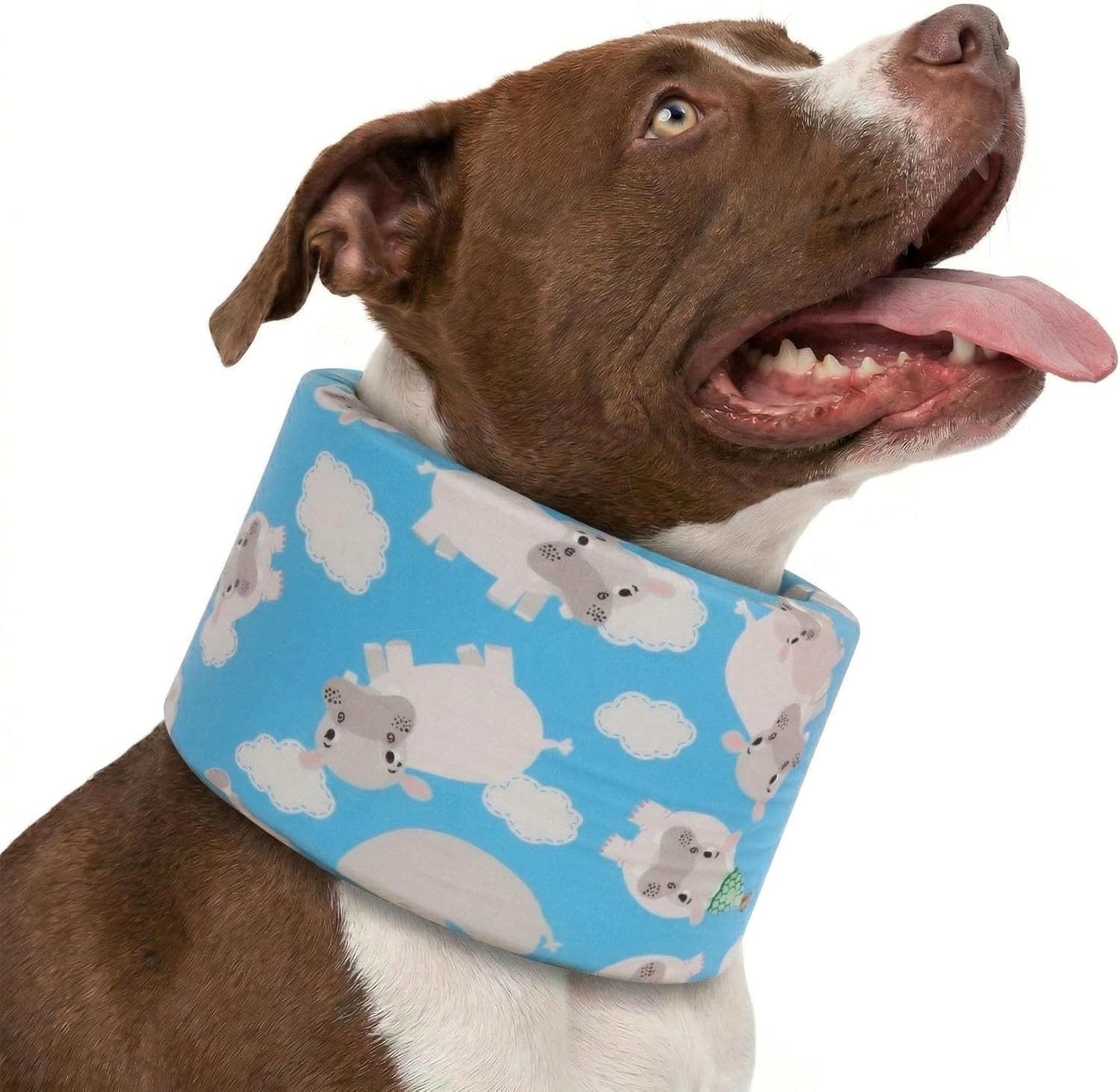 Blue Ducks with Hats Print Dog Recovery Collar