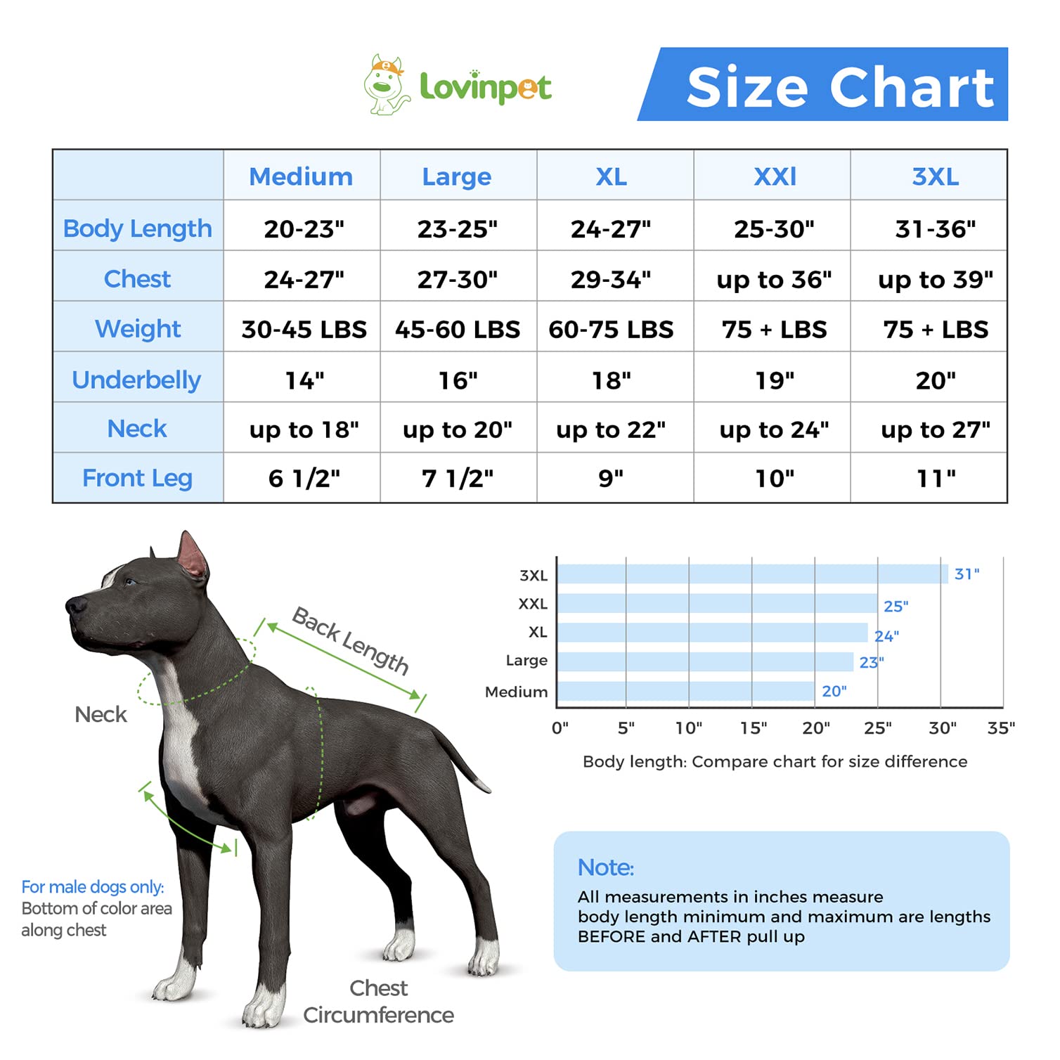 LovinPet Large Dog Post Recovery Suit - Vibrant Zigzag Collection (Red, Green, Yellow, Blue)