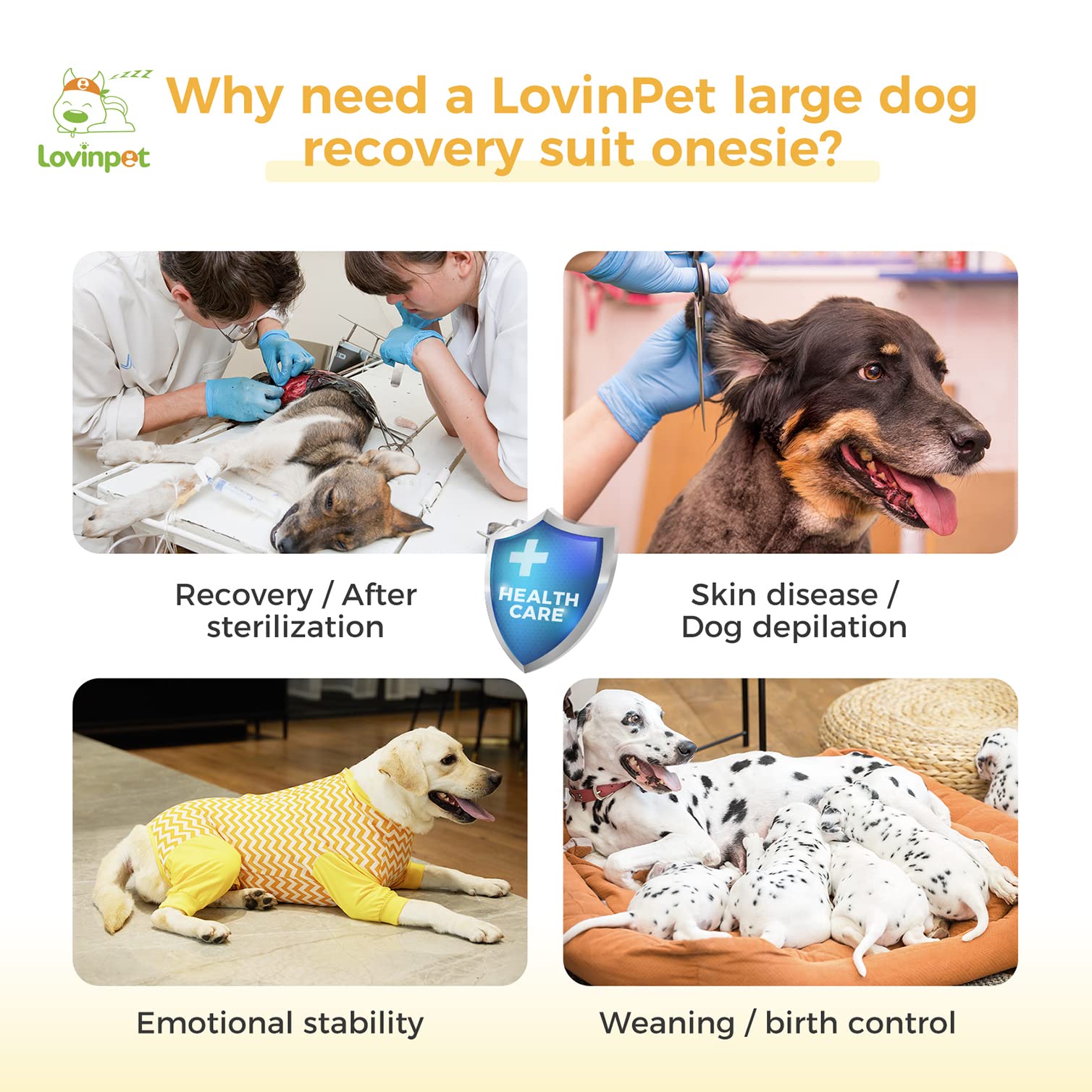 LovinPet Large Dog Post Recovery Suit - Vibrant Zigzag Collection (Red, Green, Yellow, Blue)