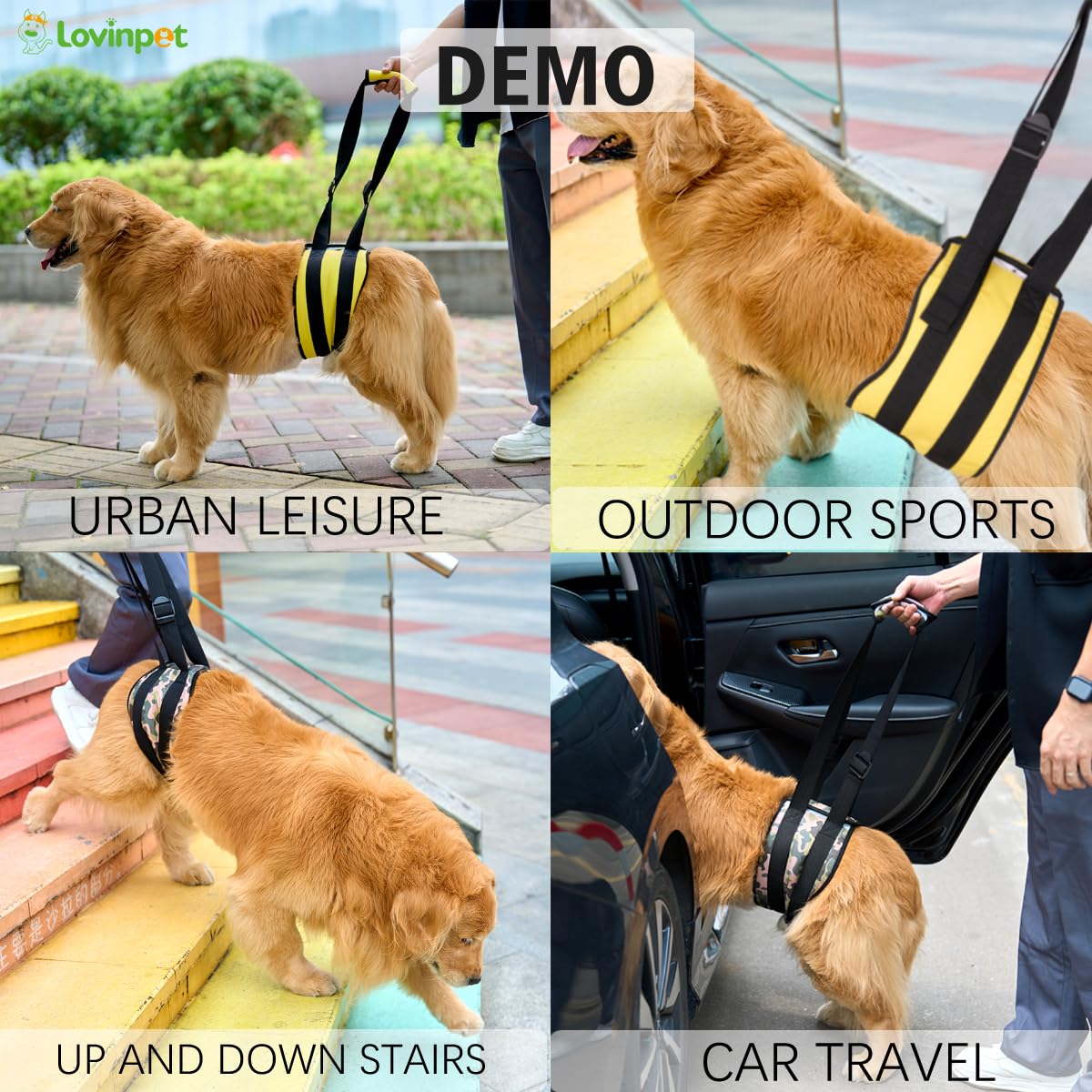 LovinPet Adjustable Dog Lift Harness for Weak Rear Legs|Portable and Comfortable Support Sling|Ideal for Senior,Injured,Disabled Dogs,and Post-ACL Surgery Recovery,Yellow