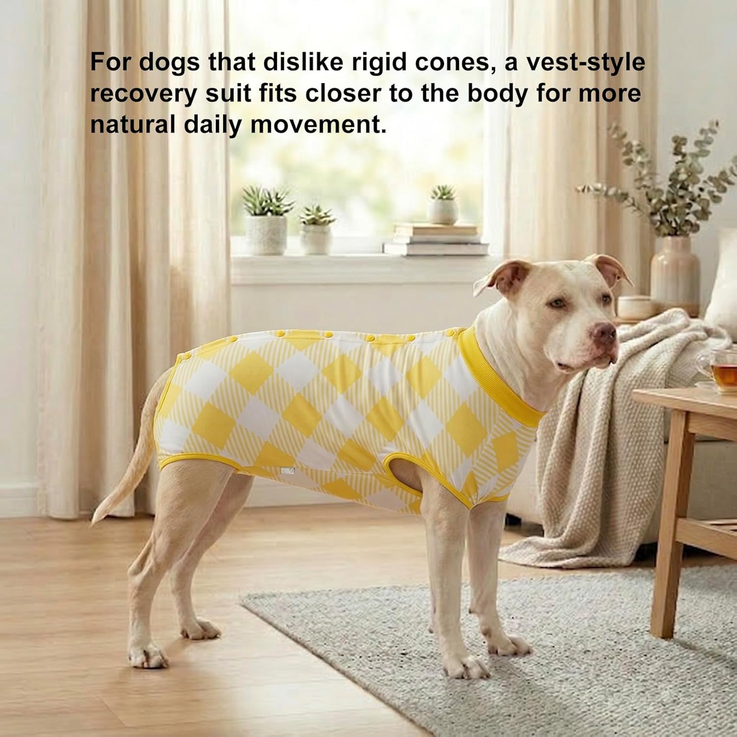 Green Plaid Dog Bodysuit
