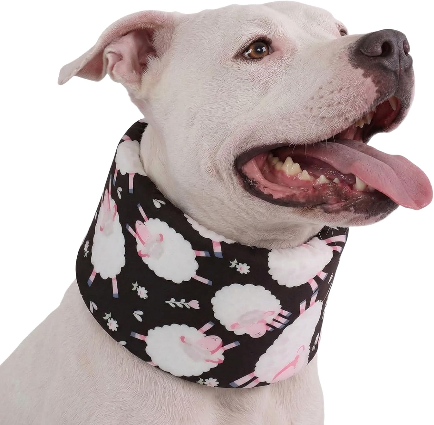 Blue Ducks with Hats Print Dog Recovery Collar