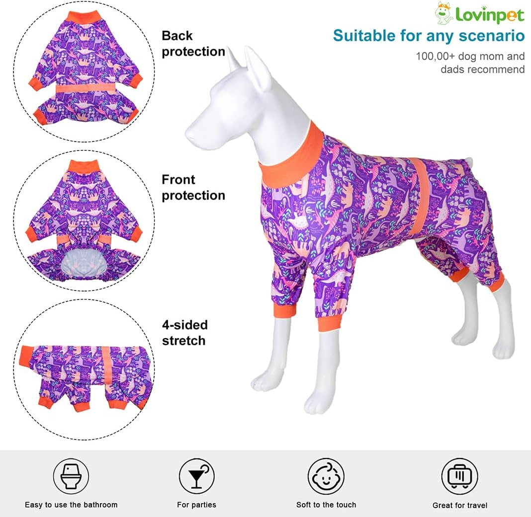 Purple Dinosaur Dog PJs