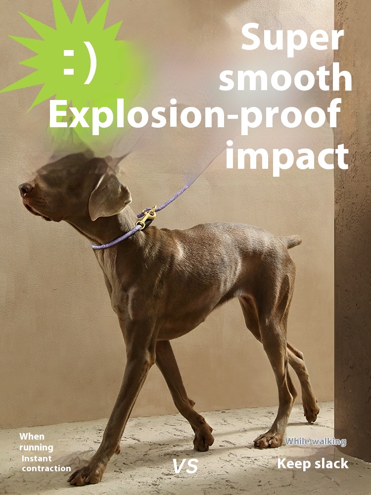 Hand holding rope p chain dog walking chest strap Internet celebrity Teddy Labrador training young puppy small medium and large dog collar