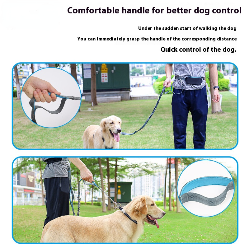 Dolemi running pet hand holding rope explosion-proof high elasticity dog out dog leash comfortable dog chain