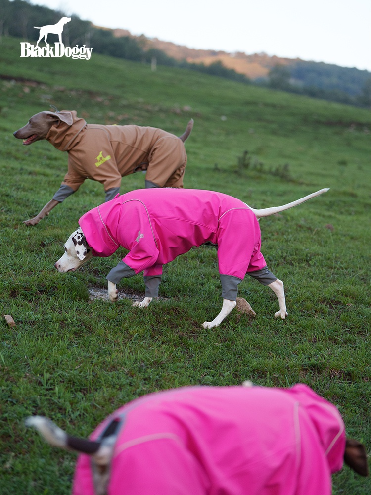 BlackDoggy rock warm hard shell four-leg outdoor shell jacket waterproof dog clothes autumn and winter 24 new