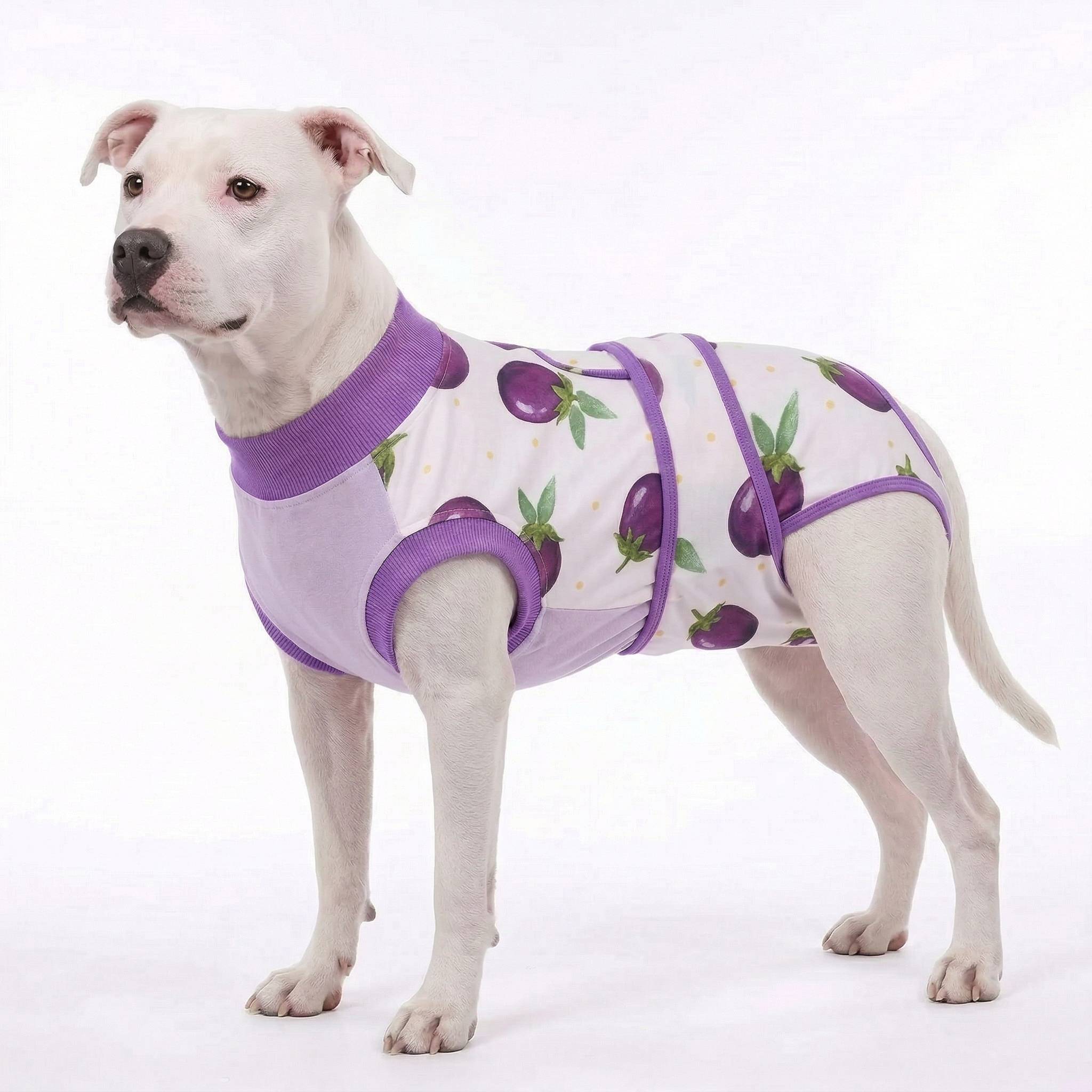 Recovery suits for male and female dogs -  Organic Veggies Prints