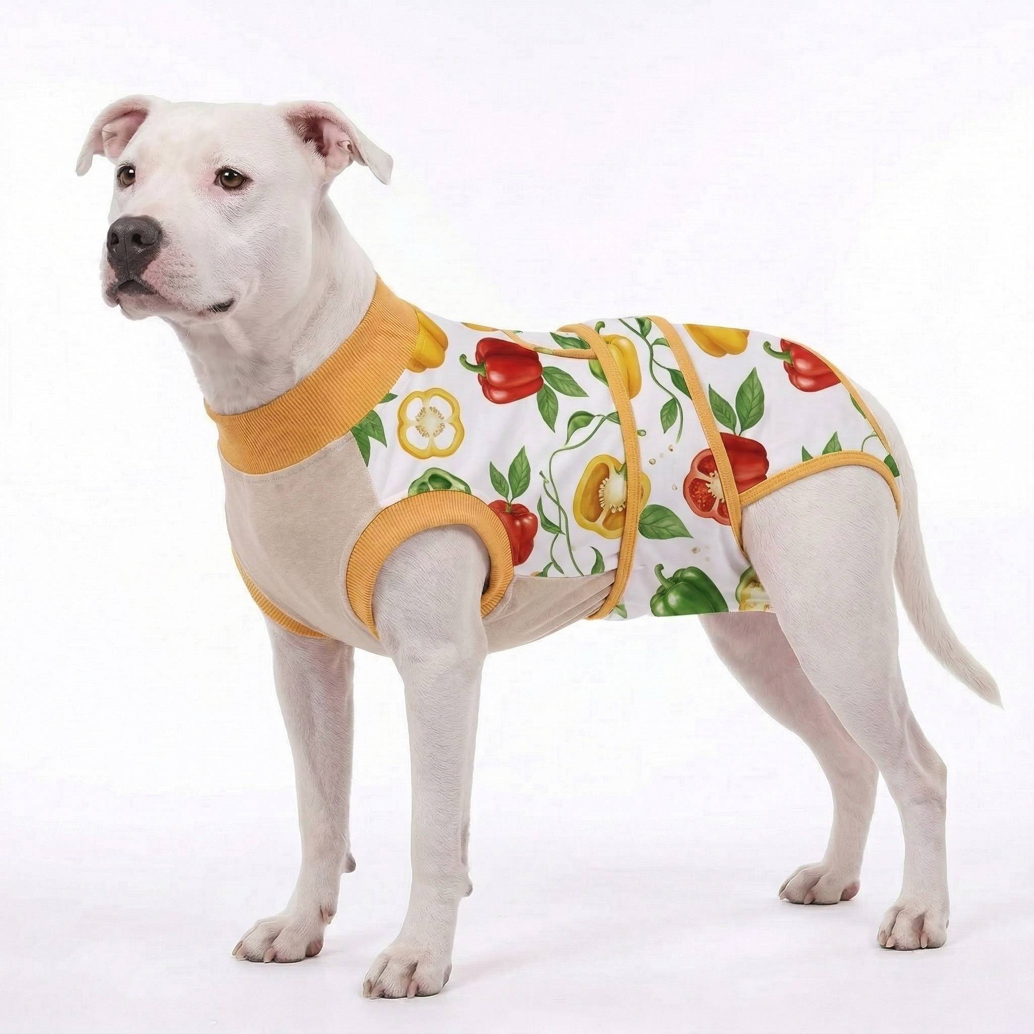 Recovery suits for male and female dogs -  Organic Veggies Prints