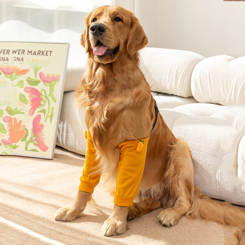 Big dog funny rib leggings clothing indoor and outdoor Protection Joint leg wear-resistant cartoon pet dog supplies