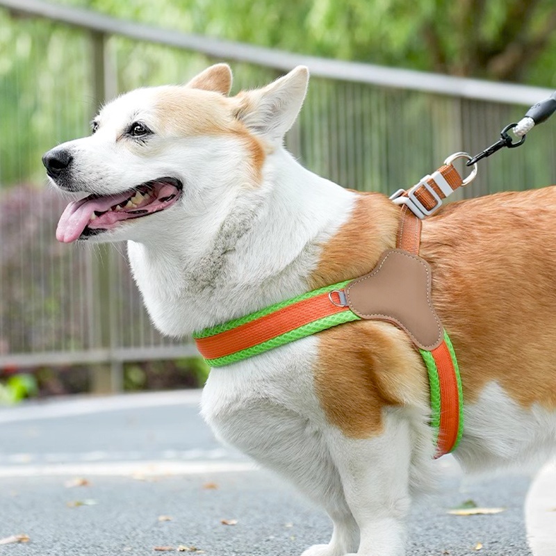 didogpet dog chest and back summer breathable dog hand holding rope small and medium-sized dogs Corgi Bichon outing dog leash