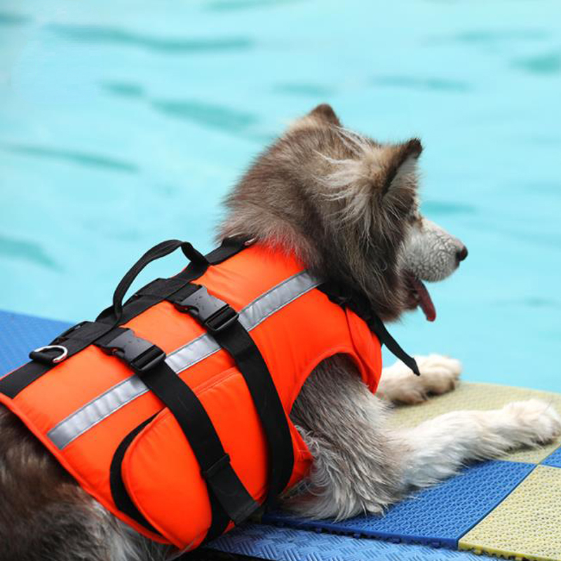 High Buoyancy Reflective Dog Life Jacket for Large Breeds - Anti-Drowning Vest