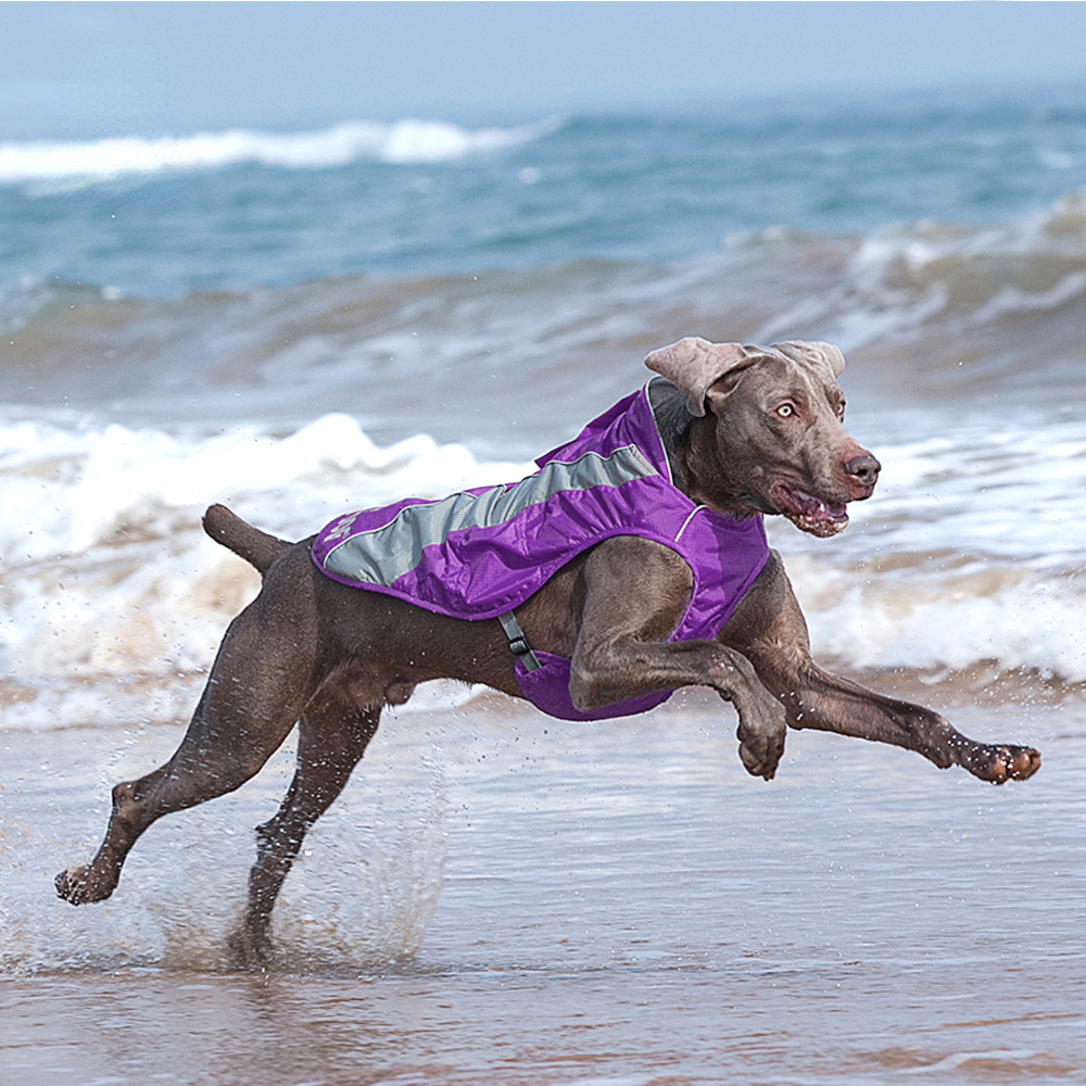 Dog quick-drying shell jacket large pet golden retriever Labrador thin with traction rope ring fluff vest