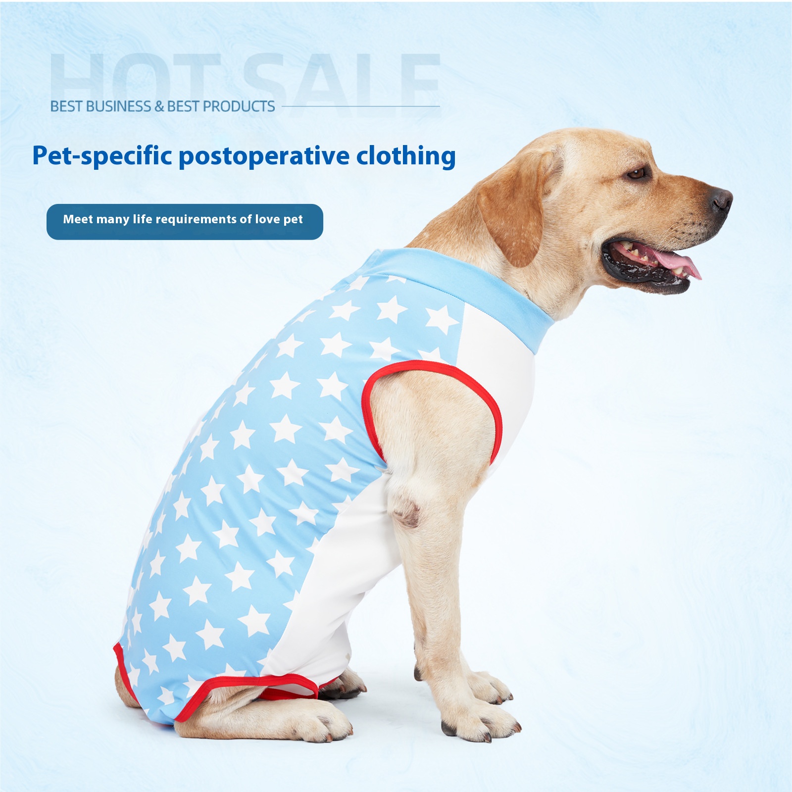 Post-Surgery Recovery Suit | Female Dog Sterilization Gown