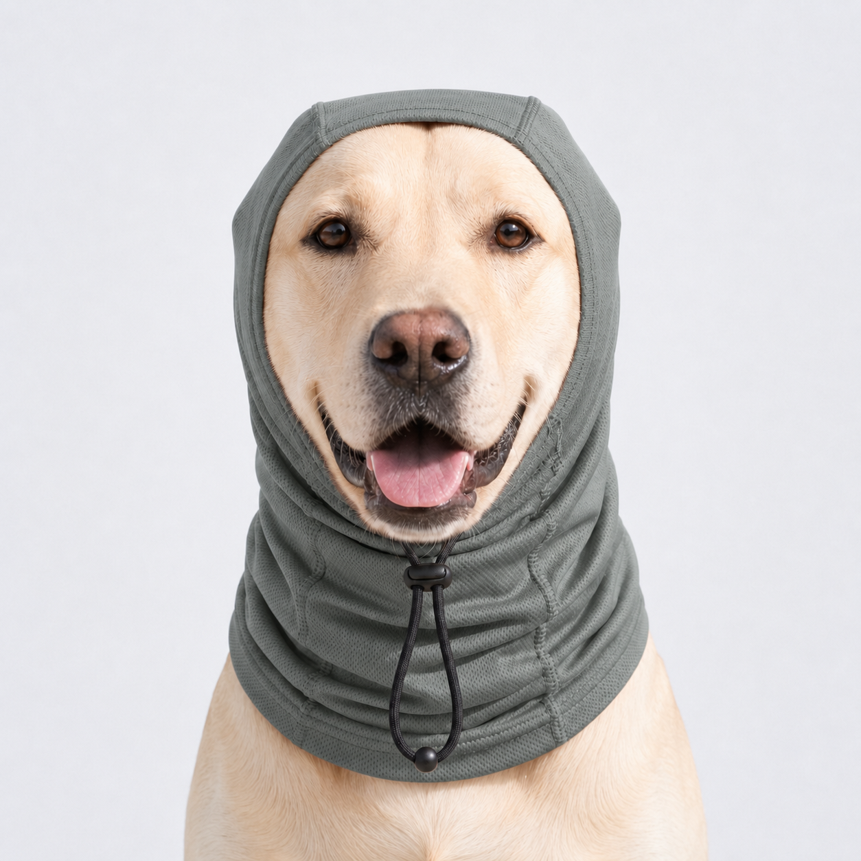 UPF50+ Dog Neck & Head Sun Protection Cover for Outdoor Walking