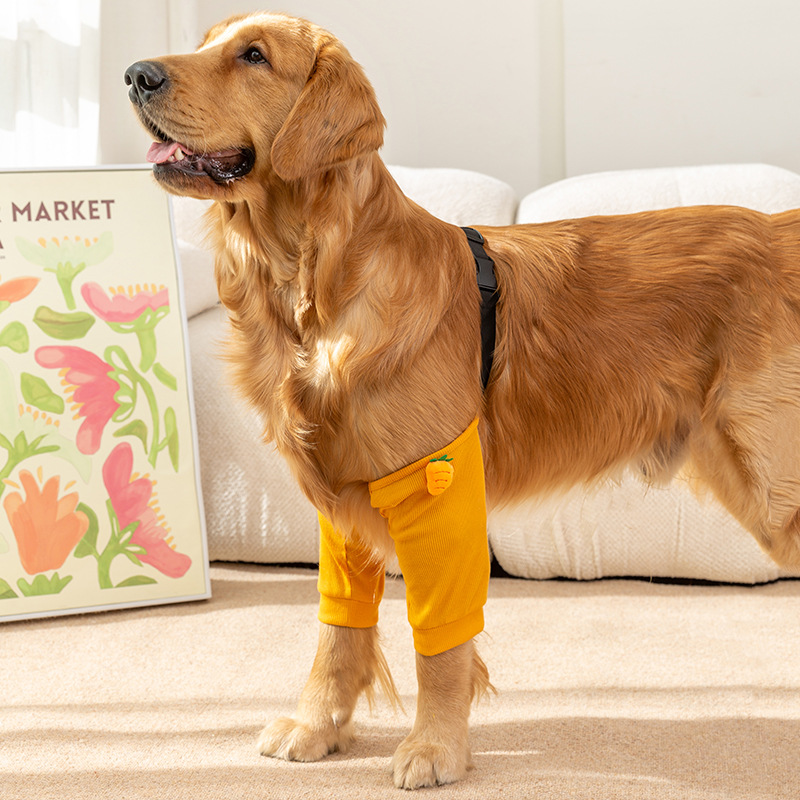 Big dog funny rib leggings clothing indoor and outdoor Protection Joint leg wear-resistant cartoon pet dog supplies