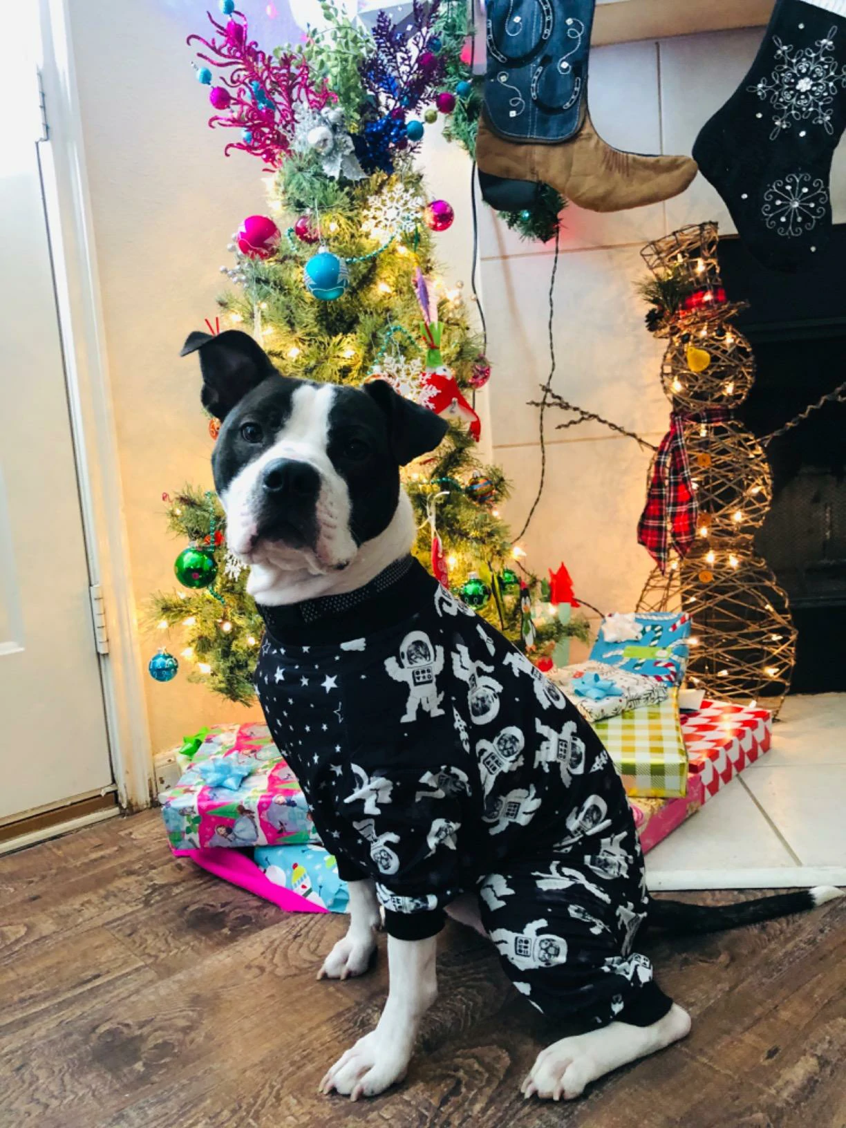 Black and white dog sitting in front of a decorated Christmas tree, wearing black astronaut-themed pajamas with space designs.