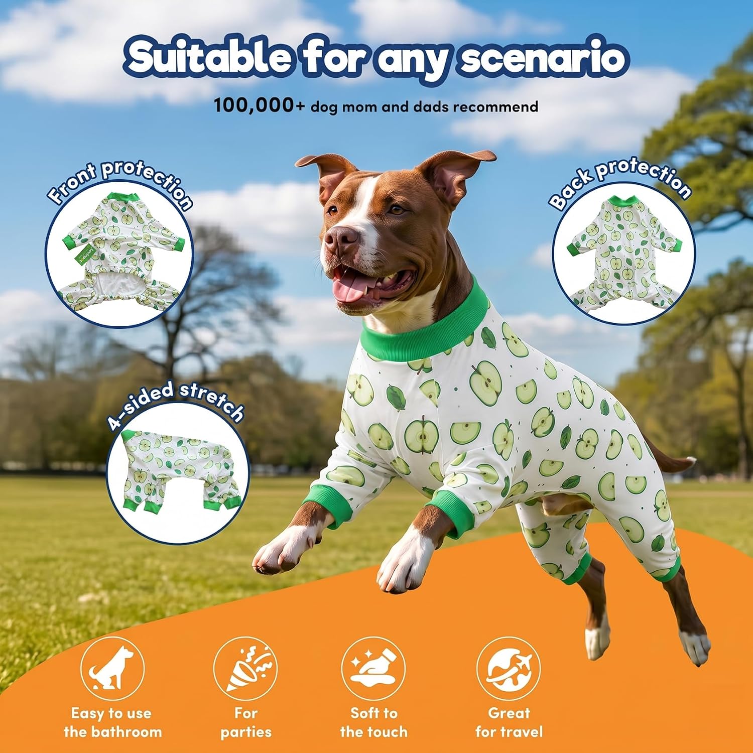 Fruit Popsicle Print Dog Onesie